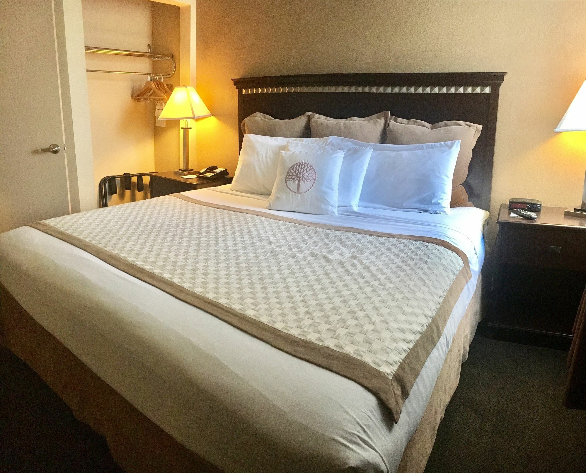 Hawthorn Suites By Wyndham Chandler Luaran gambar